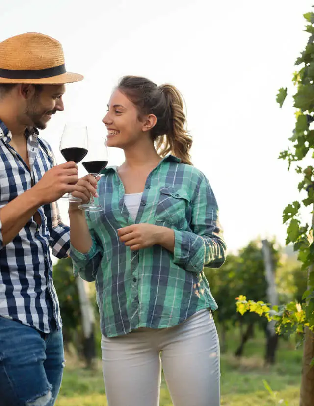 Hunter Valley Wine Tours