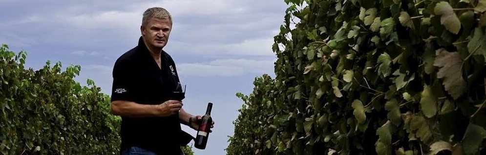 Getting to Know Drayton’s Family Wines