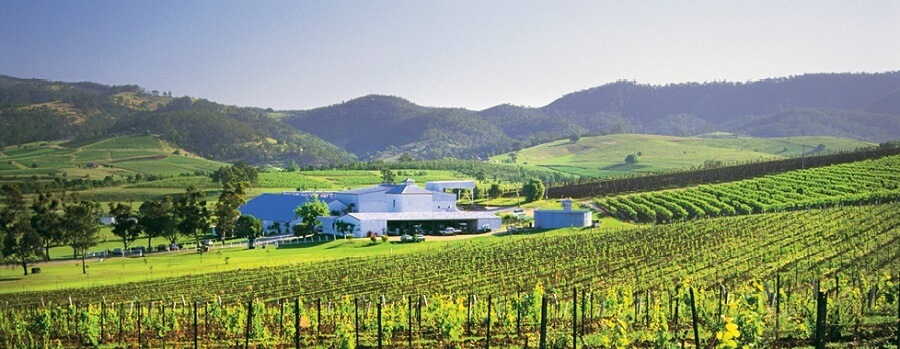 tours in the hunter valley