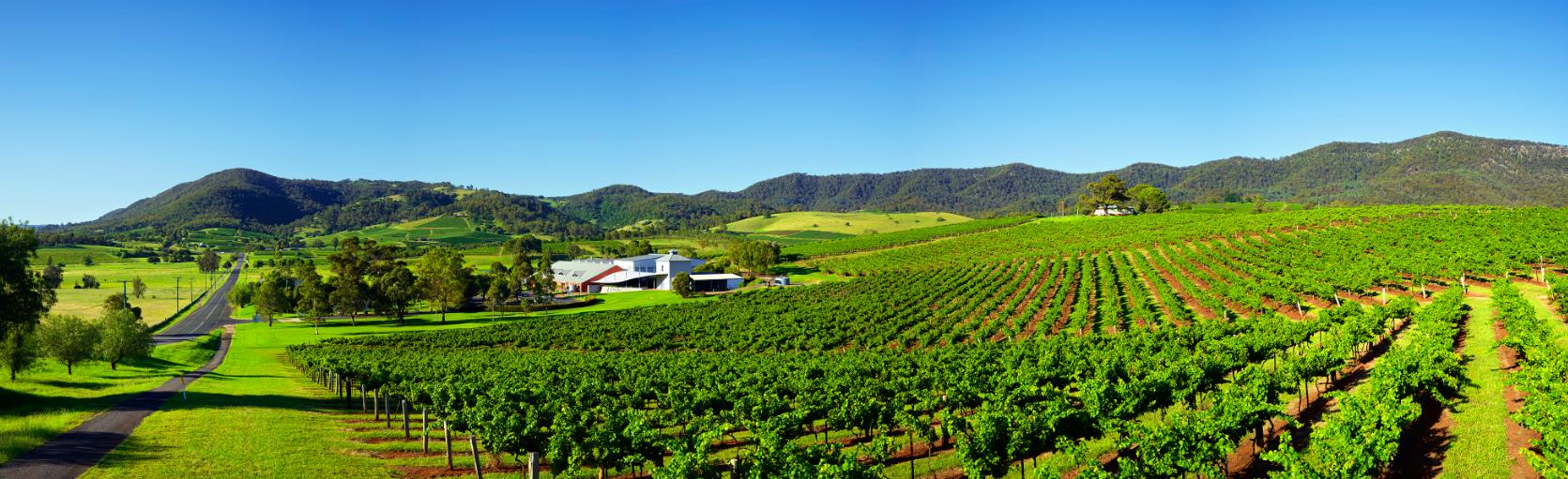How many wineries are in Hunter Valley?