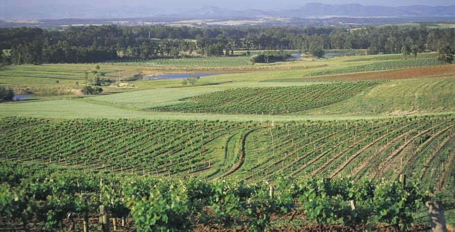 the hunter valley winery