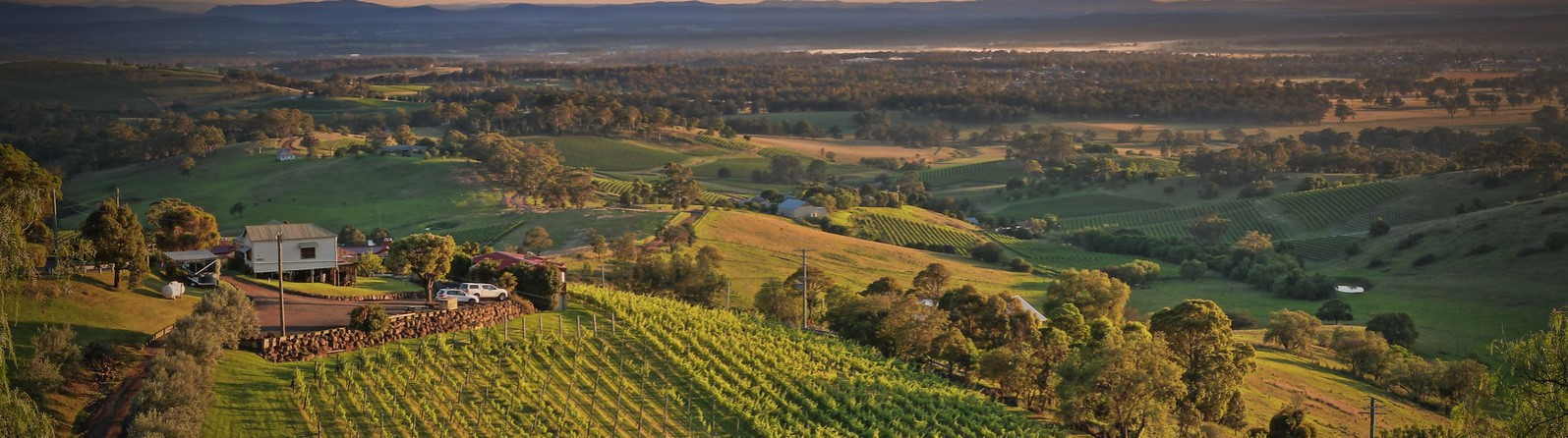 How to enjoy Hunter Valley in the summertime