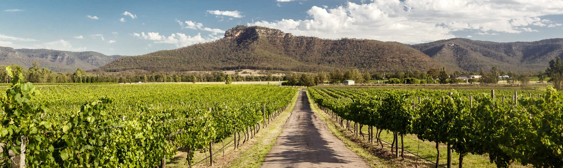 What can you do in the Hunter Valley if you don’t drink?