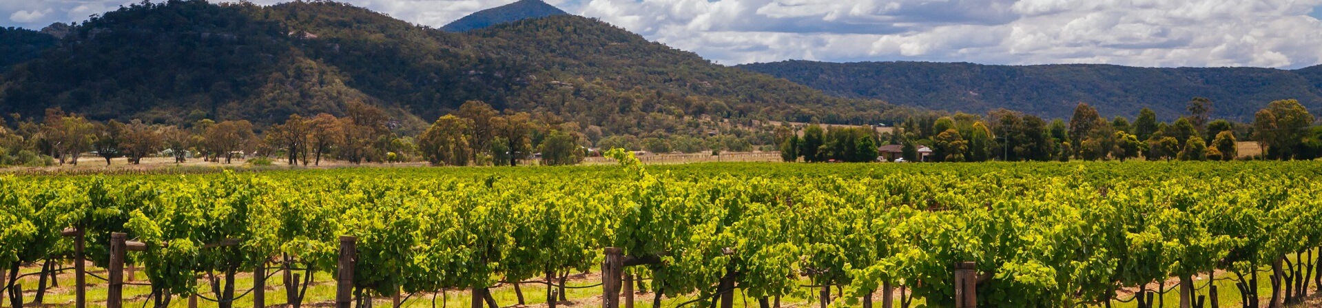 What is there to do in the Hunter Valley other than wineries?