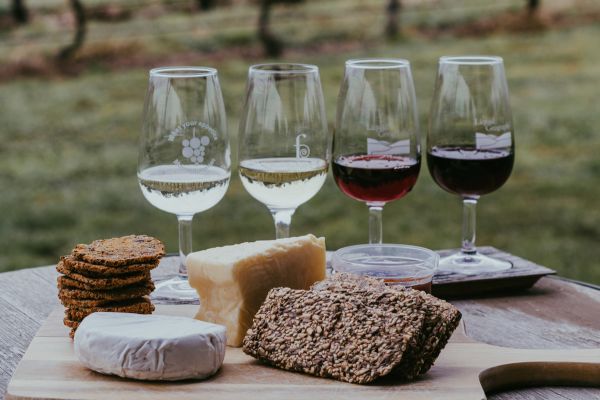 Wine tasting with cheeses