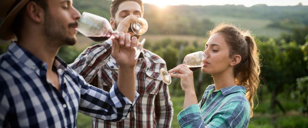 Hunter Valley Wine Tour $165