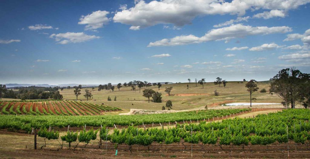 Australian countryside