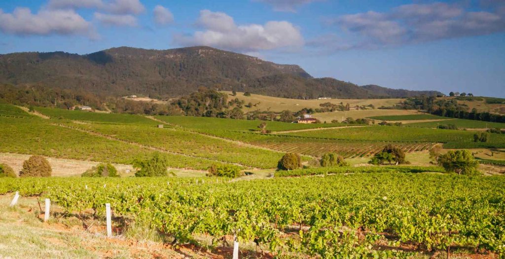 Australian countryside