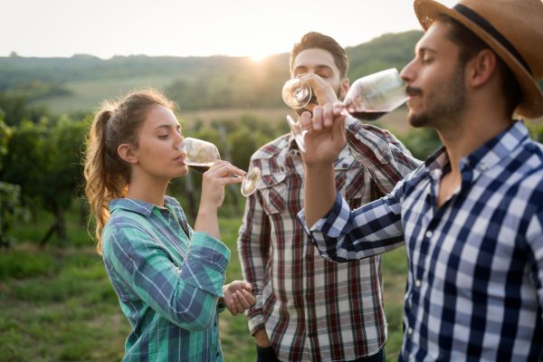 Wine tasting