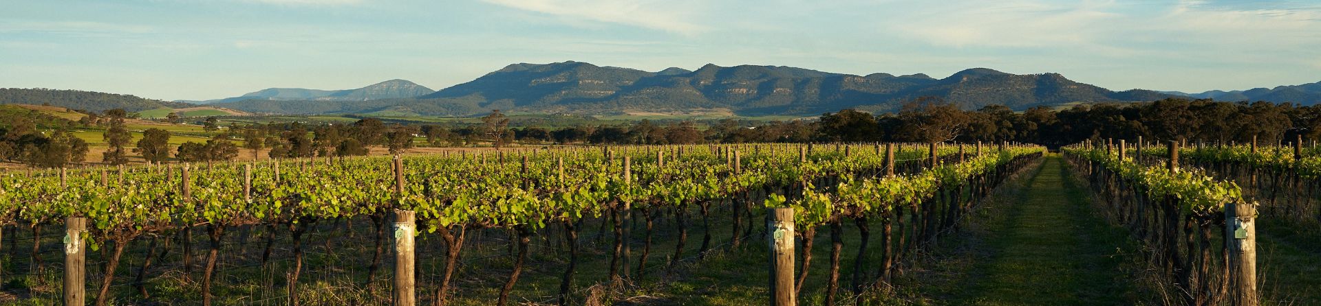 Hunter Valley