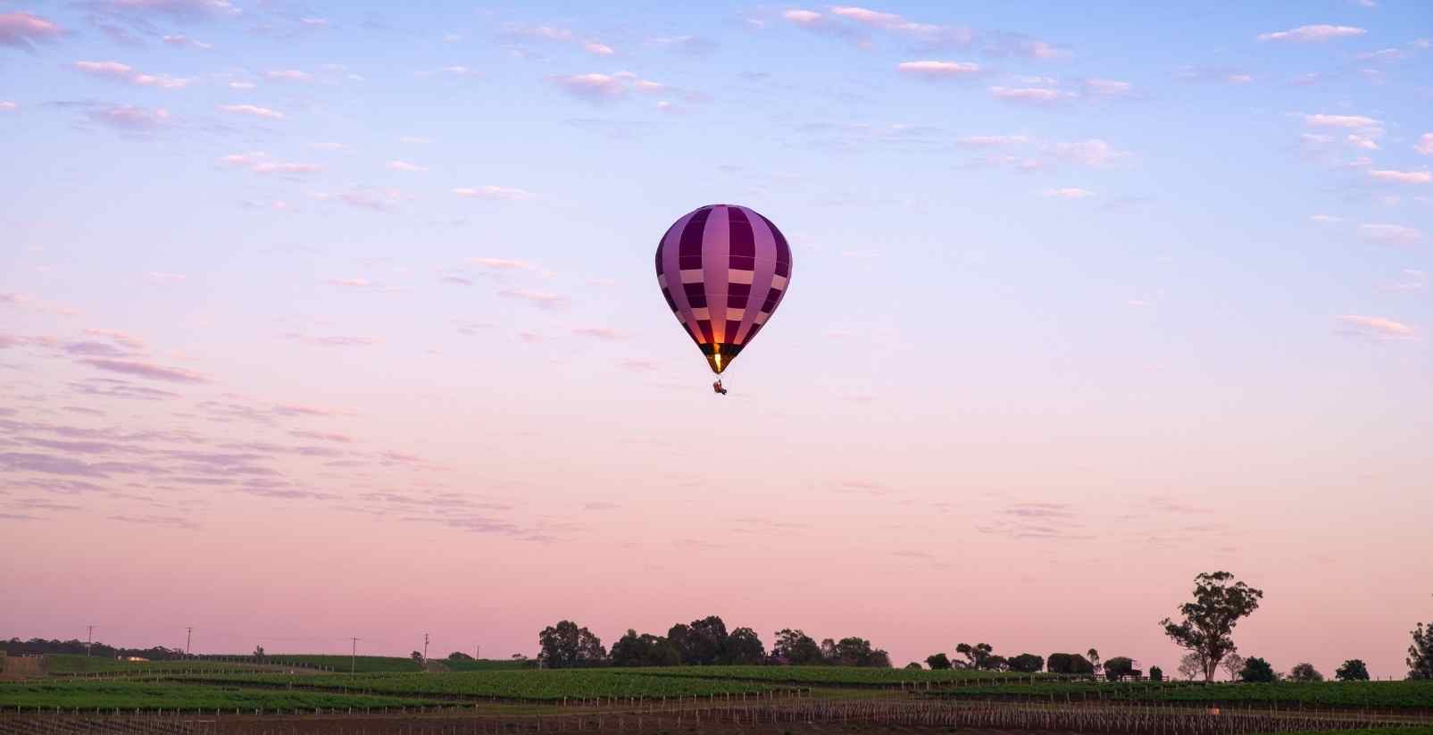 hot air ballon in sky above vineyards