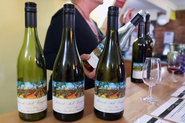 Hunter Valley Wines