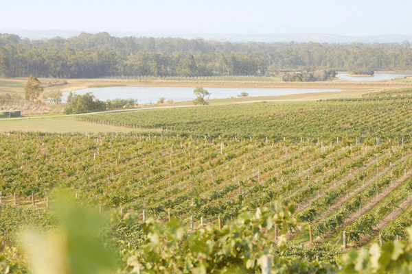 Audrey Wilkinson Winery