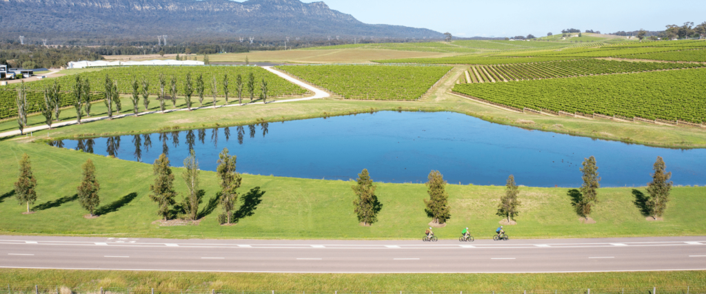 Winery in the hunter valley region