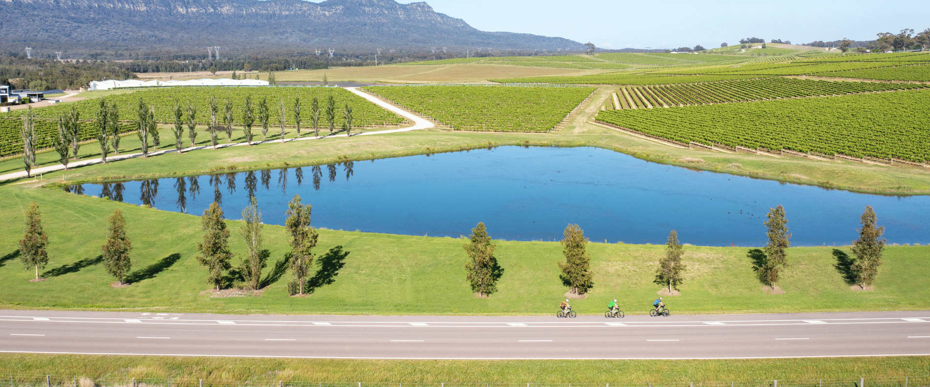 Winery in the hunter valley region
